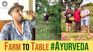 Farm to Table Experiences | Amazing Ayurveda Retreat in Kerala | Ayurooms