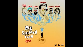 Darkiel, Pedro Capo FT Dalex ft  Afro B, Maffio X Shaggy - Me Siento Bien Remix (Video Lyric)Letra