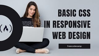 Basic CSS, freeCodeCamp - One Hour Studywithme!