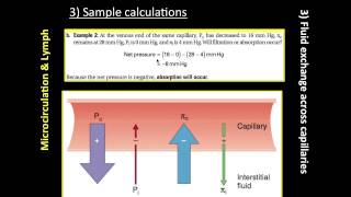 Microcirculation and Lymph & EDEMA (2 of 2)