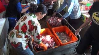 Donggang (東港) Fish Market, PingDong, Taiwan - 2/1/2014