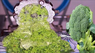 EXPERIMENT BROCCOLI VS MEAT GRINDER