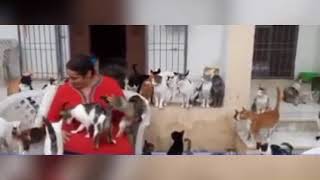 سيدة تونسية تعيش مع اكتر من 200 قط🐈🐈