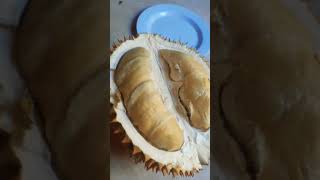 THE REAL BELAH DUREN #duren #belahduren #durenlokal #shorts #shortsvideo