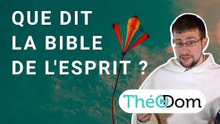 Où parle-t-on de l'Esprit-Saint dans la Bible ?