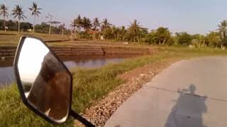 Ada jalan Bagus ditengah Hamparan sawah diujung timur jawa barat//Kab.ciamis kec.lakbok