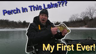 Catching a MONSTER PERCH in a Unexpected Lake