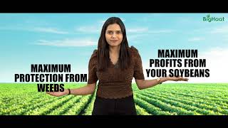 Sumi Max, best weed killer that protects your soybean crop