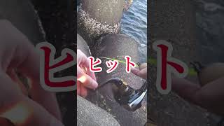 シンプルに楽しい釣りリベンジ