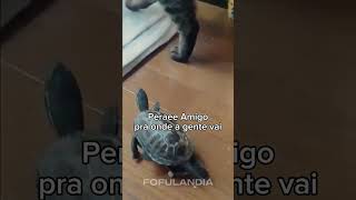 #animaisfofos #animais #animals #animal #cuteanimals #fofo #funny #animaisengraçados