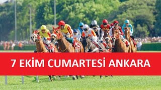 7 EKİM 2023 CUMARTESİ ANKARA AT YARIŞI TAHMİNLERİ VE YORUMLARI