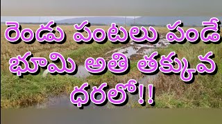 రెండు పంటలు పండే భూమి తక్కువ ధరకు