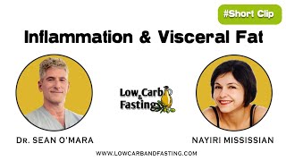 Inflammation & Visceral Fat