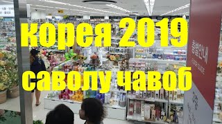 корея 2019