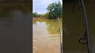 Bass fishing || fishing rod || best fishing 🐟