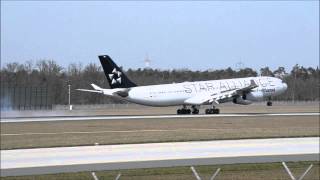 Lufthansa Airbus A343 "Star Alliance Livery" Landing @Frankfurt Airport