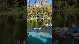 Silver Springs Kayaking | fliktrip app - The Travel Inspirator