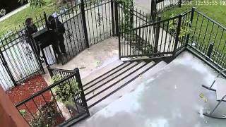 UPS delivers and the FedEx guy steals!