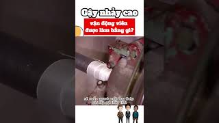 Gậy nhảy cao của các vận động viên được làm bằng gì ? #shorts #shortvideo #shortsfeed