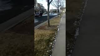 must see video central park Colorado Police gang stalker stalking me gps stalking me Jan 12 9 15 am