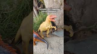 Learning about Dinosaurs. Liandrostime.tv  #dinosaurs #dinosaurreels #dinosaurshorts #kidsvideos