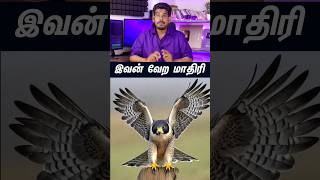 இவன் வேற மாதிரி...#tamilguru #tamilinformation #naveenbharathi