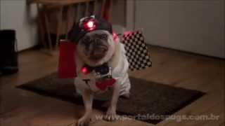 Seamless - Comercial de TV - Propaganda com Pug