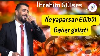 İbrahim Gülses/ ne yatarsın Bülbül Bahar gelişte  #damardan #kalbe