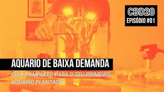 👉Aquário Cubo Plantado LOW TECH 20 Litros - Ep01