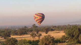 Corre Tras el Globo