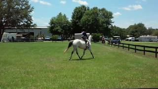 Elsa 4 year old medium pony first show