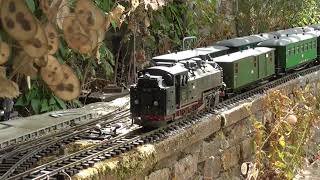 East German NG trains on a G scale garden railway