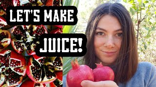 POMEGRANATE HARVEST+Q&A |Back to Eden Gardening|