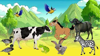 Happy Animal Moments Familiar Animal Sounds Buffalo Horse Cat Zebra Frog Cow Goat Animal Theater