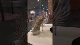 Fashion shoes from the leftovers of Lion Fish 😱 @zuiderzeemuseum #shorts #fypシ #shortvideo #viral