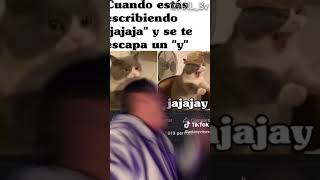 !No Busquen MEMES En TIKTOK! | En 33 Segundos