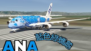 ANA A380 綠蠵龜