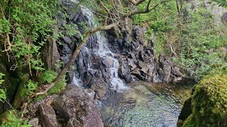 Base Brown Wainwright & Sour Milk Ghyll Waterfall Scramble