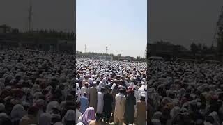 mufti Serdar Hussain janaza manazir