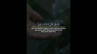 BerTaqwalah kepada Allah #murrotalmerdu #indonesia