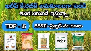 high yield best top 5 hybrid paddy variety's || అధిక దిగుబడి ఇస్తున్న Top - 5 హైబ్రిడ్ వరి రకాలు