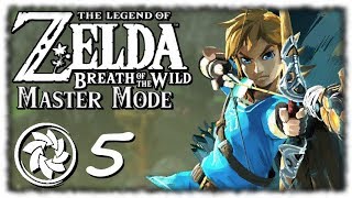 Breath of the Wild: Master Mode - PART 5 - Twin peaks tower