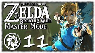 Breath of the Wild: Master Mode - PART 11 - Bees and Ninjas