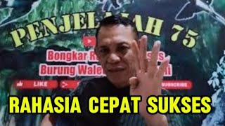 rahasia cepat sukses hadapi walet