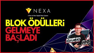 NEXA İçin Sona mı Yaklaşıyoruz? | Ekran Kartı Madenciliği | Mining