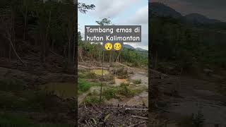 tambang liar #kalbar #kalimantan #borneo