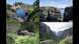 Unforgettable things we have done in Newfoundland, July 2022