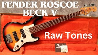 Roscoe Beck Raw Tones 40-120 Fender Strings