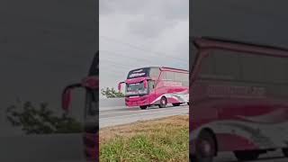 Sudiro Tungga Jaya "LITUHAYU" #huntingbus #sudirotunggajaya #fypシ #viral #bismania