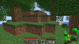 W Imie Minecraft#11/14-nic